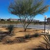 2007-05-03_Sunbeam Lake_027.jpg