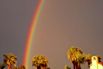 2007-04-20_Sunbeam Lake Rainbows_004.jpg